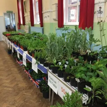 Image: 6A0CDFDF-B1AD-4049-95F2-DEA0DCBCF967