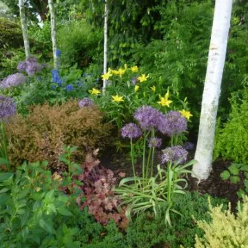 Flower Club June 2019 P1030746