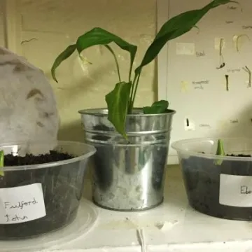 B561A95B-1430-44C2-9994-A51C1B10A81C