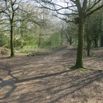 Keith Barker woodland April 2020 (6)