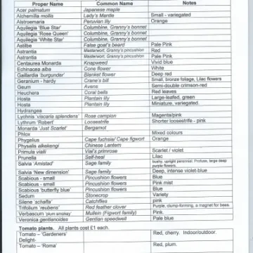 Woodland Plant Sale PhotoScan