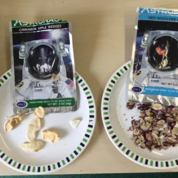 Image: 70E5DAAA-2246-4B66-A625-D029835341CB