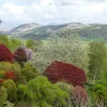 P1010390