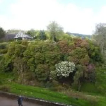 P1010422
