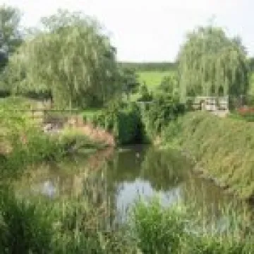 Hankelow Mill garden