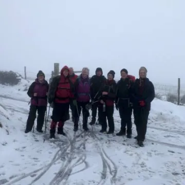 ARS Walk