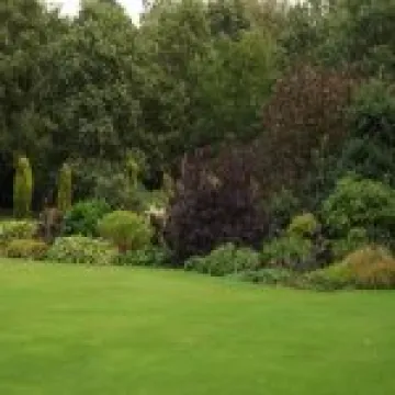 DSCF0688