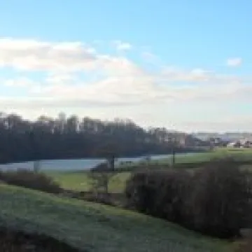 2013 Boxing Day walk (3)