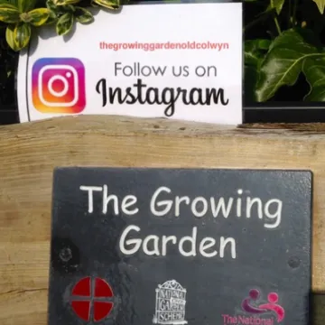 BA31033F-3E3E-4EA9-85C4-630BA69EED59_1_201_a