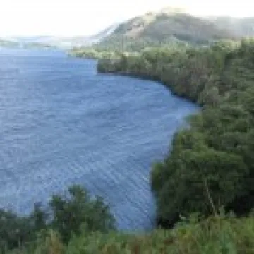 IMG 0010
