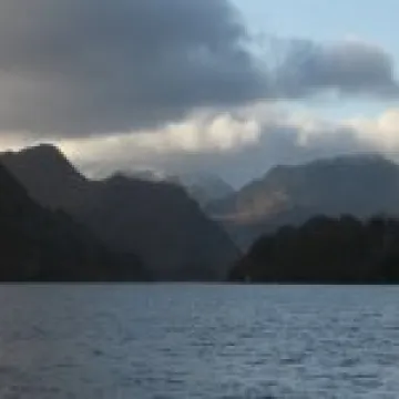 IMG 0060