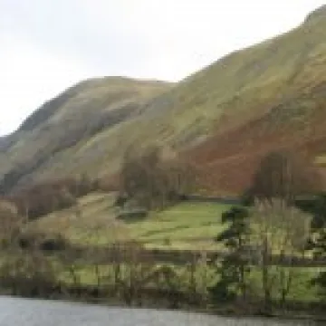 IMG 0061