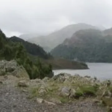 IMG 0007