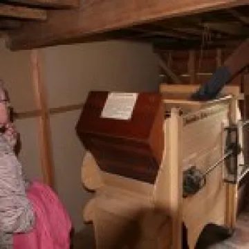 IMG 4646
