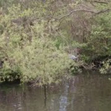 IMG 4095