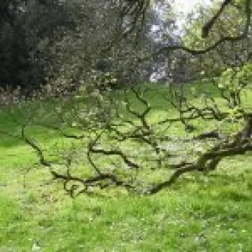 Holker Hall Visit 032