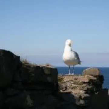 20070517 0084