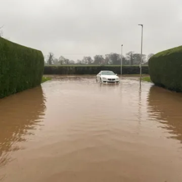 Image: 141197107_10160503244639325_6502117808839789421_n