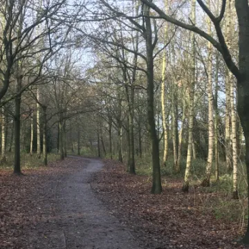 Woodlands – Grogans Walk Dec2020 2