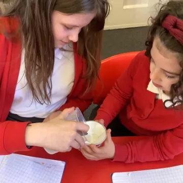 B880708A-B1E7-49FA-9EB0-BD7F168842DC