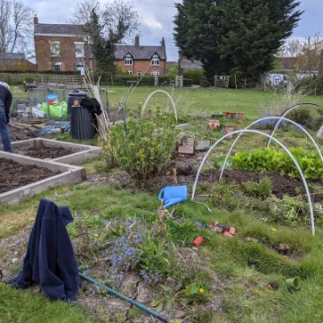 Allotment 2