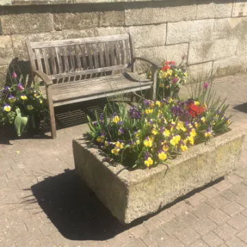 Spring Flowers by St. James