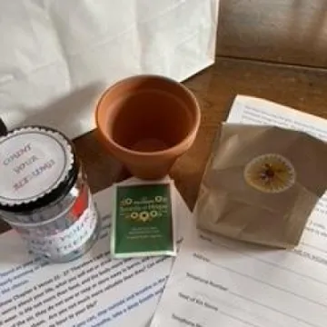 Count Your Blessings  – 8