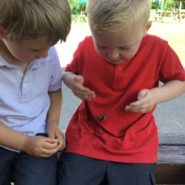 Image: 1E4947FA-65F2-417E-A4BD-79A6D32772D5