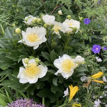 FEEE0D02-ACFB-4A8D-B0D3-CC6B54075A45