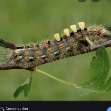 A898A1A0-8A40-49DC-970D-E457C8A21E45