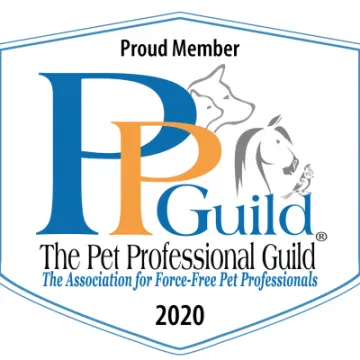 Pet Prof Guild
