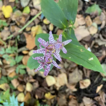 E7FAA67E-7356-4F4F-A0DA-63D94F46D438