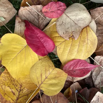 C7356F73-B5CE-4FBA-B8F0-E51620247617