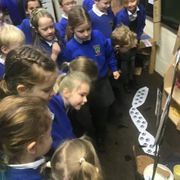 DD9A6B02-CA27-42FC-A032-C472F117A197