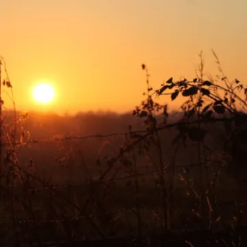 Tarvin Sunset Jan 22 &ndash; 1