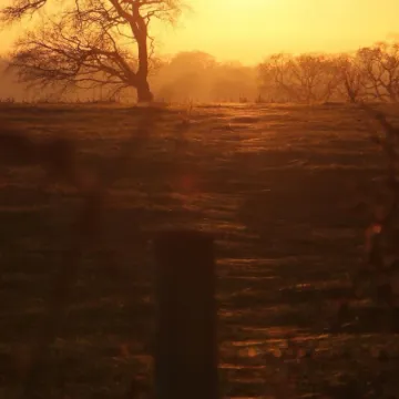 PHOTO-2022-01-14-20-02-49