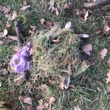 C37FF7FC-3266-4476-B4B8-5F25F0AD59D1