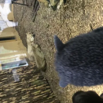 57DA3986-F94D-4395-9B5A-FBD2D2051AC5