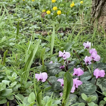 0D8DB7AC-A235-4141-8639-ADEE1A023113