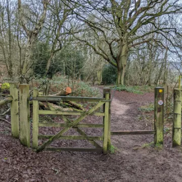 PXL_20220215_112233775-MP