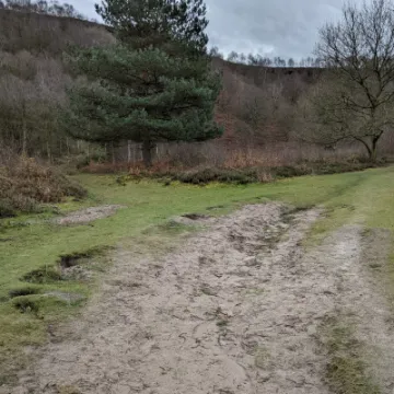 PXL_20220215_113023314