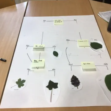 A5DC4192-36F4-4FD3-8402-F75E831747AF