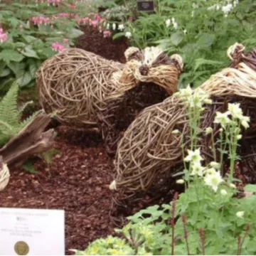 9B7361BC-52ED-487A-BC20-A92A0C78BEC5