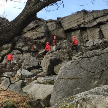 C9641EA0-6C46-4EA0-AC32-0DC743F2E34E