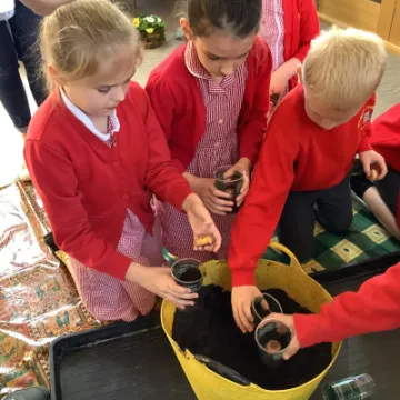 92FD3B5F-8658-41DB-8CB7-84BD8B921ACF