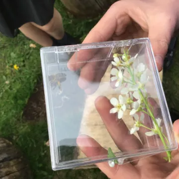 897C2D19-5B78-425E-B899-F19955BC363F