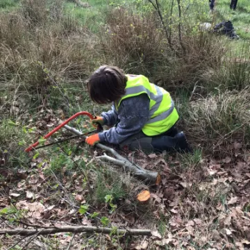 18EDA667-E691-424E-B943-EFE6DFF32D35