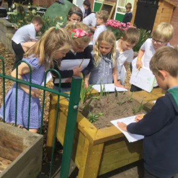plant hunt 4