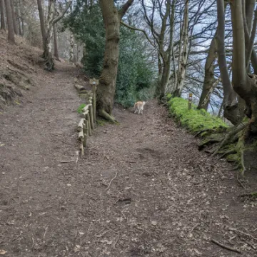 PXL_20220321_111412739-MP