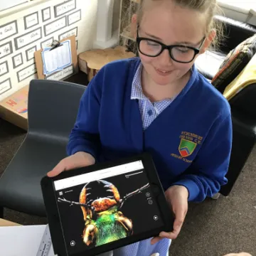 F11150C6-1226-4C79-BA11-D9F46439E963